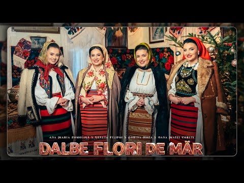 Ionut Lucian Studio and 5 more