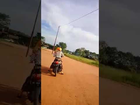 Fidoe lucu,, belajar bawa motor.. By khatijah . Bikin ngakak...