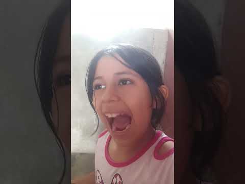 Todos son tontos (Dumd Dumb)