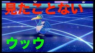 【プレイ動画】見たことない型のウッウに戸惑う【ポケモン剣盾】 – ポケモン剣盾