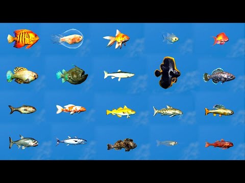 Easily Catch All 21 New Fish IN MINUTES - Skyrim Anniversary Edition Guide