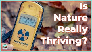 The Radioactive Nature Reserve of Chernobyl