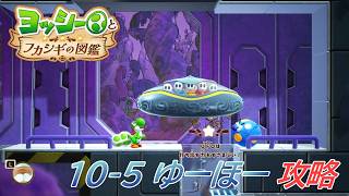 【ヨッシーとフカシギの図鑑】10-5 ゆーほーのひみつきち 調査、フラワーコンプリート【攻略/switch2】