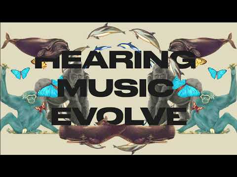 Hearing Music Evolve