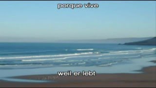 Mensch - Herbert Grönemeyer (subtitulos en español)