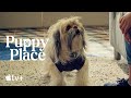 Puppy Place —Bandit the Shih Tzu | Apple TV+