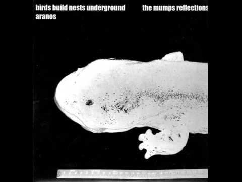 Birds Build Nests Underground & Aranos - The Mumps Reflections (extract)