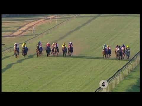 20190525 Scottsville express clip Race 8 won by CHIMICHURI RUN