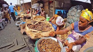 AFRICAN FOOD MARKET SHOPPING IN GHANA ACCRA