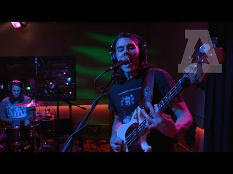 Post Animal on Audiotree Live (Full Session)