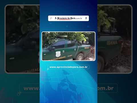 🚨 Operação do Ibama em Senador José Porfírio combate crimes ambientais 🌳