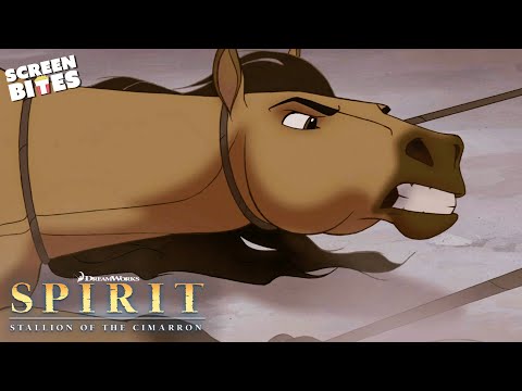 Captured By Cowboys | Spirit: Stallion of the Cimarron (2002) | Screen Bites