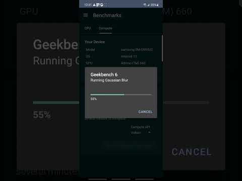 Samsung S21 FE Geekbench 6 Compute Result (Vulkan)