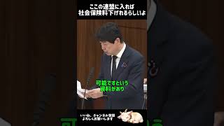 社会保険料を下げるってこういうことなん？ #国民民主党 #足立康史 #維新 #国保逃れ #社会保険料 #維新の会 #吉村知事
