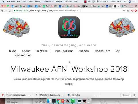 Milwaukee AFNI Workshop: Part 1: Introduction
