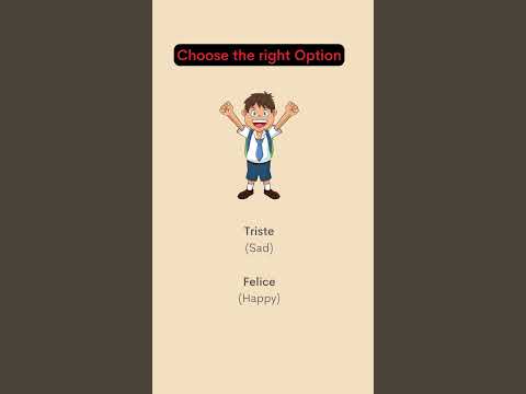 Fun and Easy Quiz about Italian Adjectives, Verbs and Words