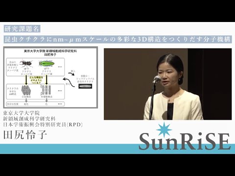 SunRiSE Fellow Reiko Tajiri Mecanismos moleculares que criam várias estruturas 3D na escala nm a µm em cutículas de insetos