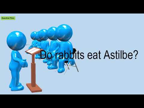 download lagu mp3 mp4 Astilbe Safe For Dogs, download lagu Astilbe Safe For Dogs gratis, unduh video klip Astilbe Safe For Dogs