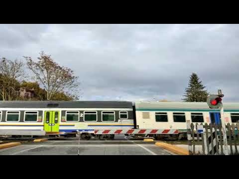 Transito di un regionale con D445 ad un passaggio a livello