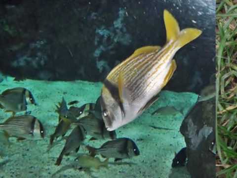 jeziora  -  Jan Kaczmarek