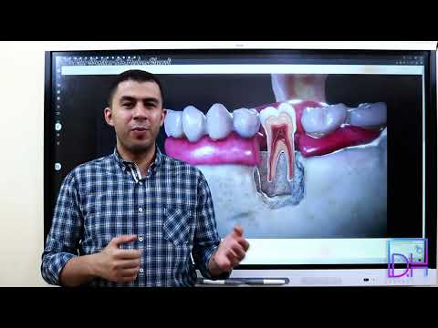 7- Micro-Anatomy of the tooth Structure