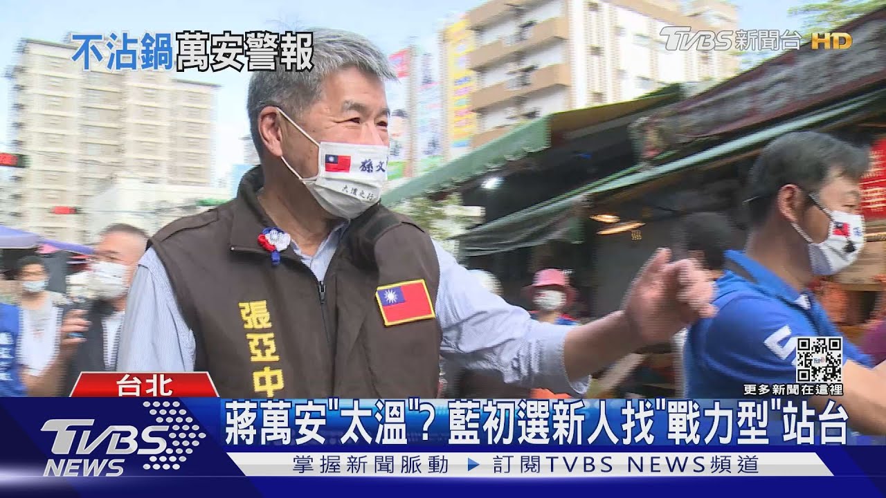 為「去蔣」槓蔣萬安 張亞中:和民進黨拿香拜