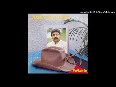08. Campesino Vuelve al Llano - Jose Ali Nieves