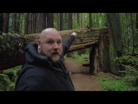 I Stopped By Endor! | Star Wars ROTJ Shooting Location at Cheatham Grove