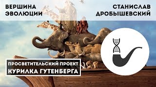 «Вершина эволюции. Кто превзошёл человека и в чём человек превзошёл других животных»