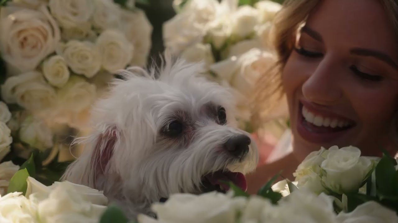 YouTube thumbnail preview for the video titled Wedding Film 01