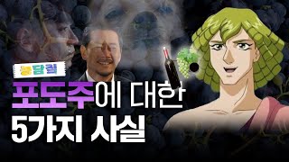 포도주, 당신이 몰랐던 5가지 사실|농담짚