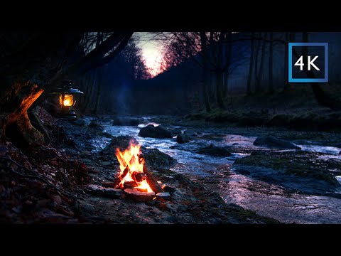 4K Campfire by the river at evening sunset | Relaxing nature sounds | Real video