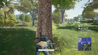 PUBG[PS4Pro]バトロワ教祖の状況ライブ[パット]