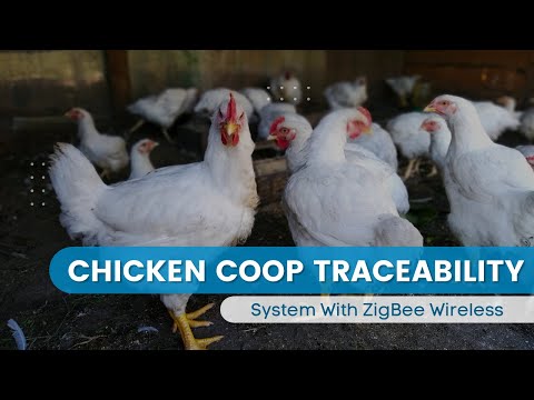 Chicken Coops Traceability System with ZB-2570