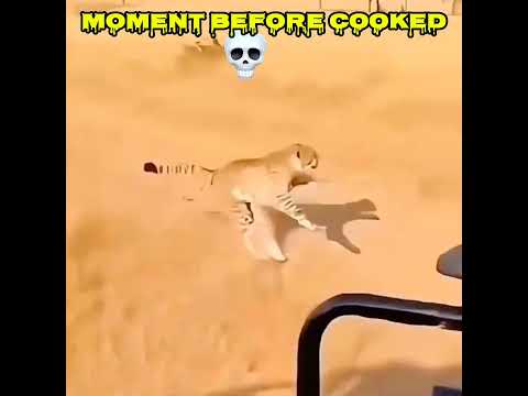 #washington #jurassicworld