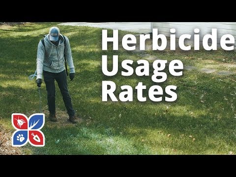  Do My Own Lawn Care - Herbicide Usage Rates Video 