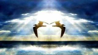 Hypnotized, Ani DiFranco