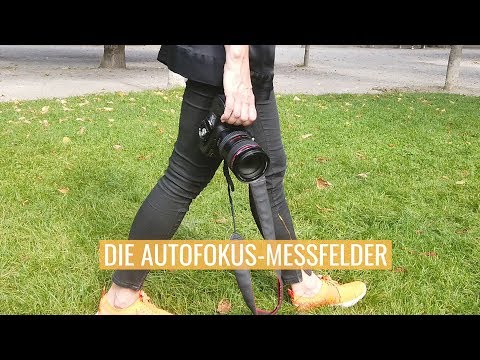 Fototipp Autofokus Messfelder
