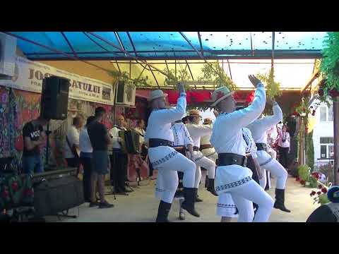 Joc de araduit, Rapsodia Somesana, Frata, Jocul satului, August 2021