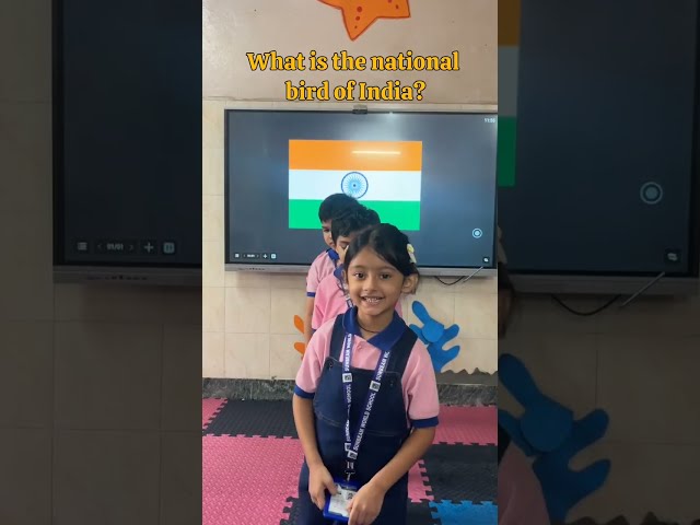 General Knowledge activity on our nation.
