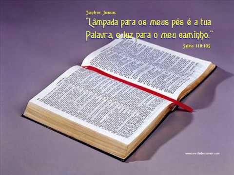 SALMOS 120 AO 131 LEITURA DA BÍBLIA POR NEUZA BALDINI.wmv