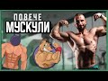 НАЙ-ДОБРИТЕ УПРАЖНЕНИЯ ЗА МУСКУЛНА МАСА!