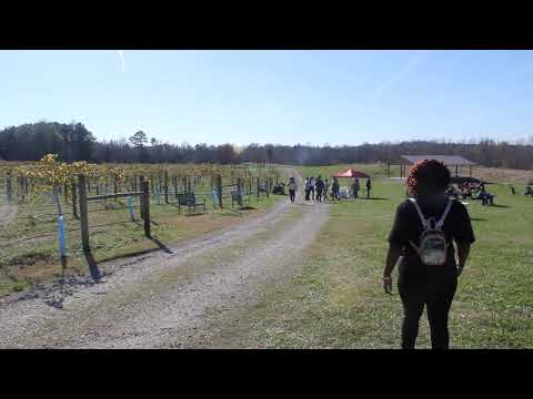 Aaron Mills of Cameo Live performance, Norlina NC, Nov 21 2020