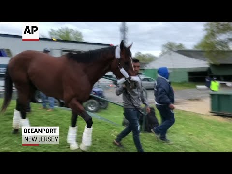 Maximum Security is back at Monmouth Park in New Jersey. The first Kentucky Derby winner disqualified for interference in the race's 145-year history arrived at the track shortly before 6 a.m. Tuesday. (May 7)