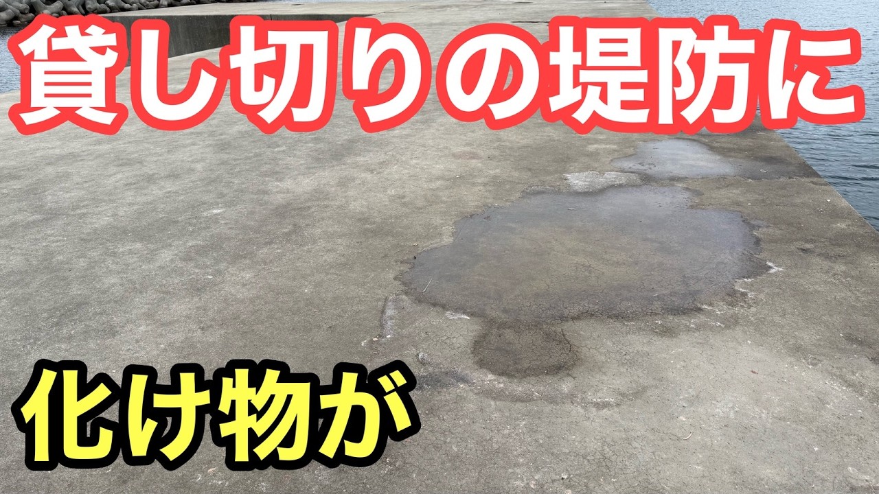 【貸し切りの堤防に】化け物が潜んでいました！まさかの展開に衝撃を覚えました【飲ませ釣り/エギング】