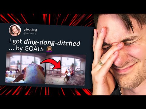 r/AnimalsBeingJerks - Goats = Evil.