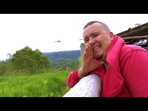 ZEBRA - ARTISTA INTERNACIONAL CON CABETO GONZALEZ