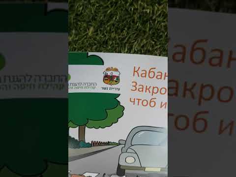 ржу не могу . забота о кабанчиках в кавычках