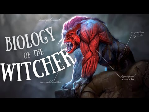 The Disturbing Biology of The Witcher's Creatures