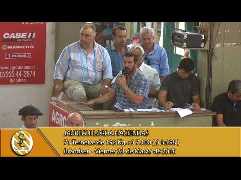 23-03-18 Venta de Hembras - Jauregui Lorda Haciendas - Brandsen